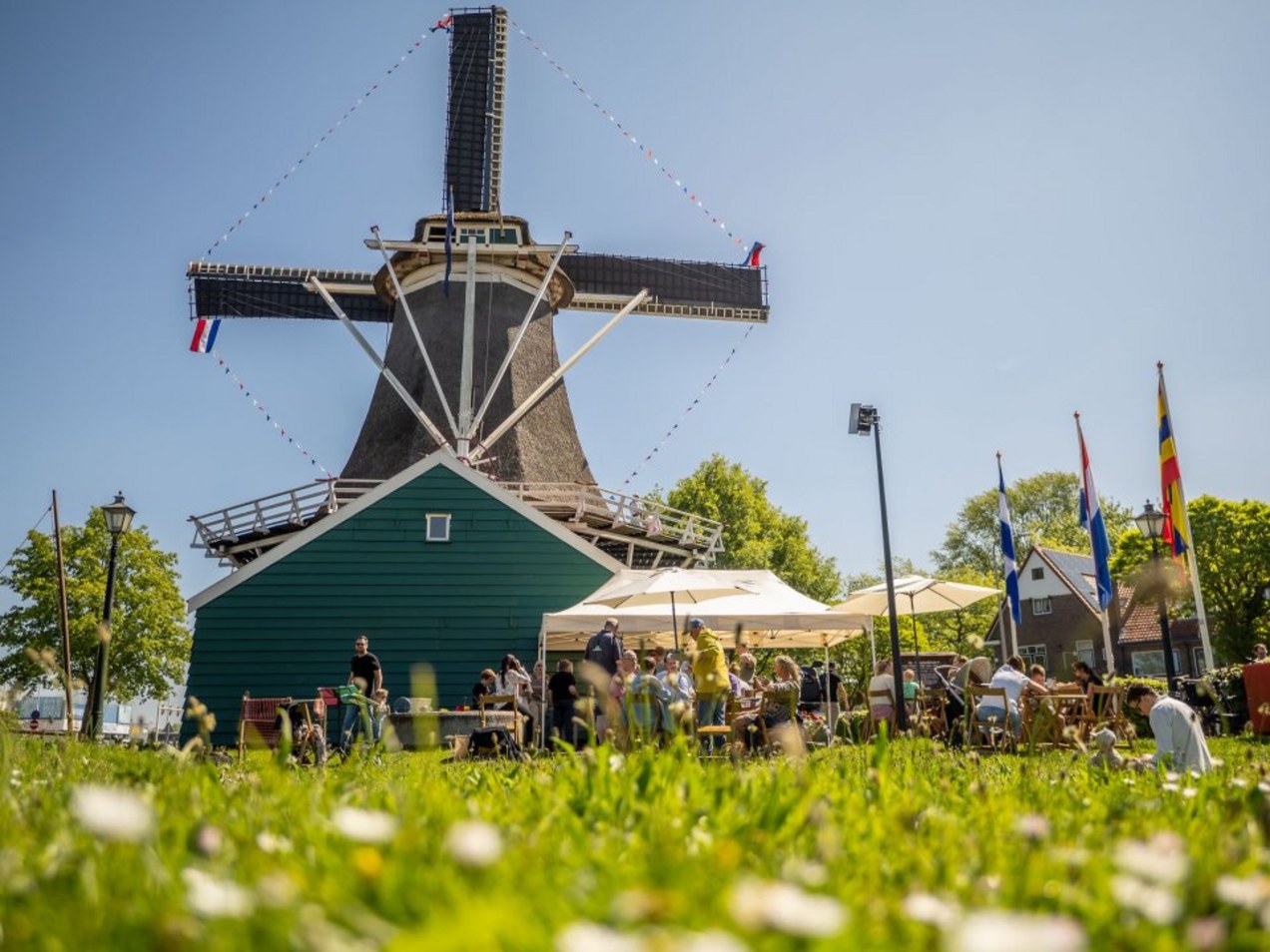 Molen