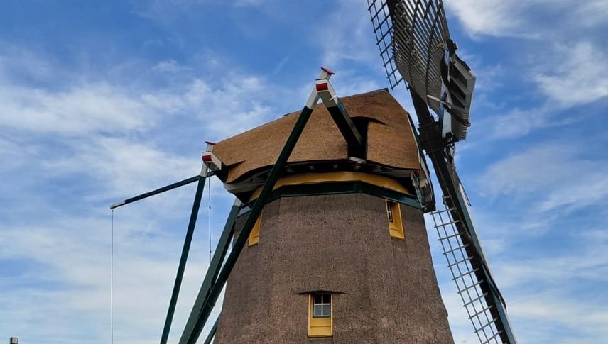 Molen